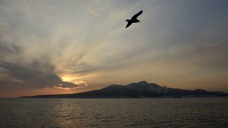 The Pacific Ocean near the Island of Kunashir, one of four islands known as the Southern Kurils in Russia