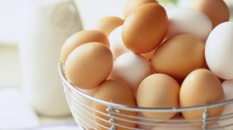 eggs image