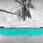 What are the ‘Paradise Papers’ and why should you care?